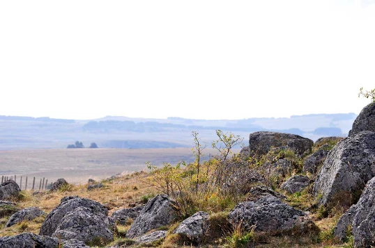 Aubrac : Les Grands Espaces en liberté - Photo 8