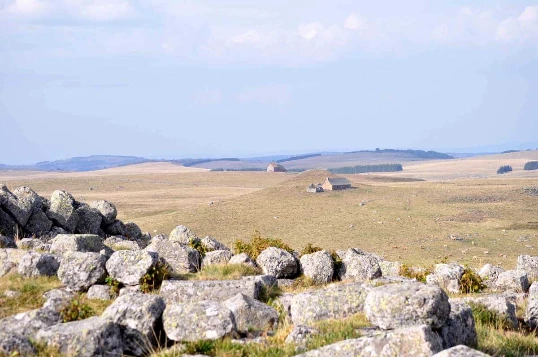 Aubrac : Les Grands Espaces en liberté - Photo 7