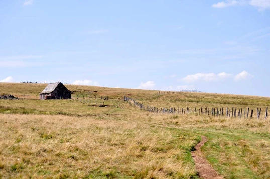 Aubrac : Les Grands Espaces en liberté - Photo 6