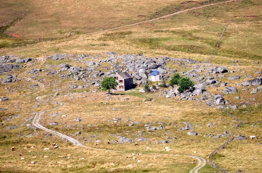 Aubrac : Les Grands Espaces en liberté - Photo 5