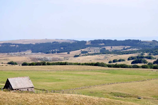 Aubrac : Les Grands Espaces en liberté - Photo 4