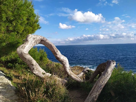 WE Réveillon à Menton : mer et balcons de la Côte d'Azur - Photo 10