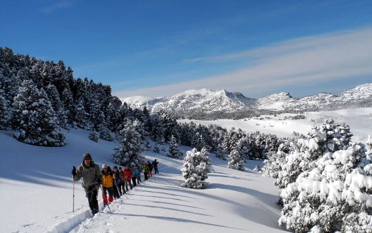 WE Réveillon et igloo dans le Vercors - Photo 5