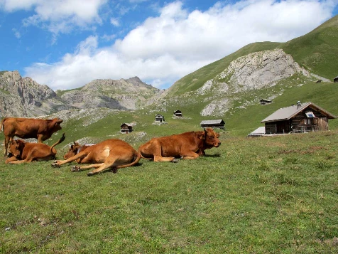 Multiactivités dans le Queyras - Photo 1