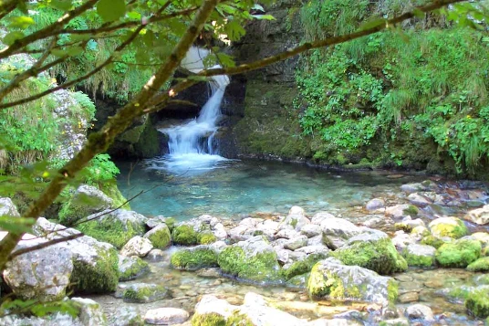 Les petits randonneurs du Vercors en liberté - Photo 5