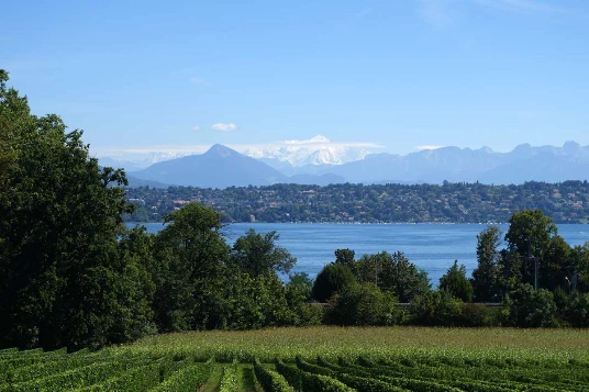 Sur les Pas des Huguenots : Genève - Yverdon (Suisse) - Photo 10