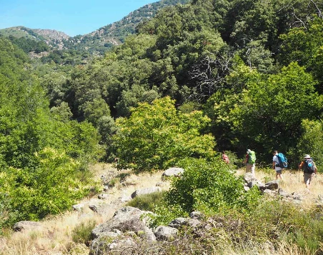 Retrouvance® : Monts d'Ardèche - Photo 5