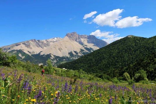 Retrouvance® : Buëch Dévoluy - Photo 7