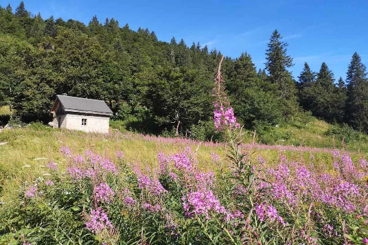 Tour du Vercors en liberté - Photo 7
