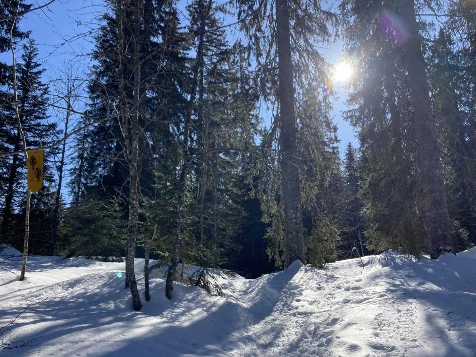 Raquettes & Détente dans le Jura - Photo 8