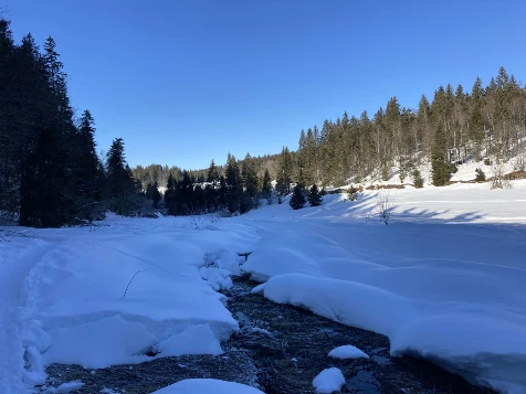 Raquettes & Détente dans le Jura - Photo 7