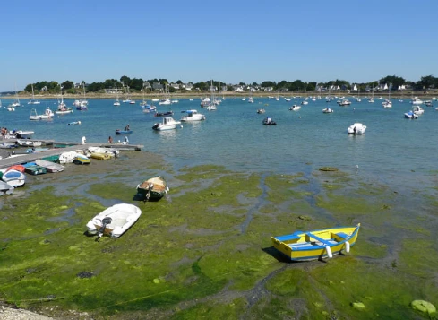 WE Réveillon Golfe du Morbihan - Photo 1