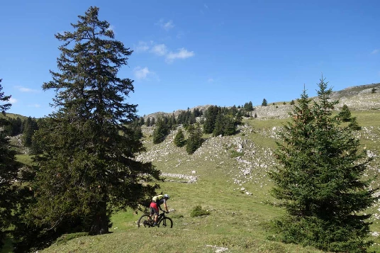 WE eVTT sur la GTJ : Metabief - Lajoux - Photo 4