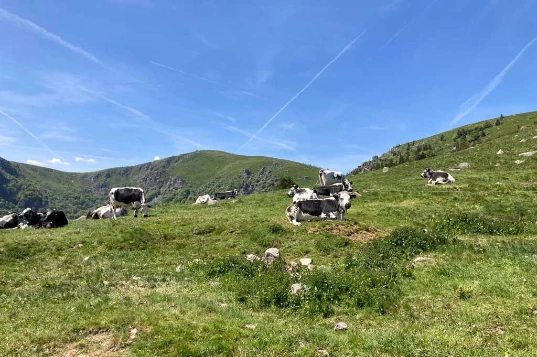 Rando & Bien Etre dans les Hautes Vosges - Photo 6
