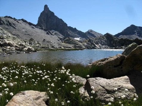 Ubaye: Vallée sauvage - Photo 1