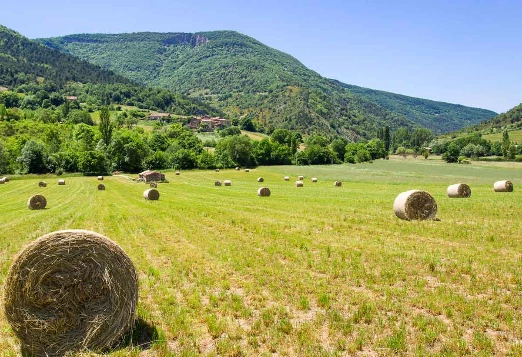 Sur les Pas des Huguenots - De Poët Laval à Die - Photo 6