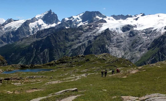 Les Ecrins avec un âne - Photo 3