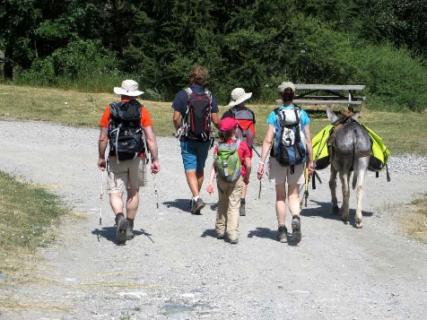 Les Ecrins avec un âne - Photo 1