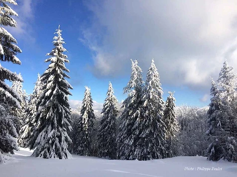 Rando Hivernale & bien-être dans les Vosges - Photo 10