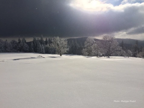 Rando Hivernale & bien-être dans les Vosges - Photo 11