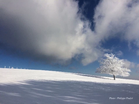 Rando Hivernale & bien-être dans les Vosges - Photo 12