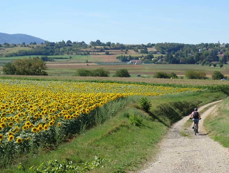 Compostelle à vélo : Genève - Le Puy - Photo 7