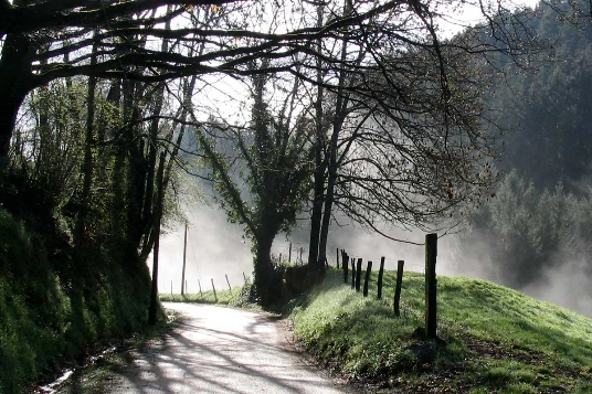 Tour du Beaujolais en Liberté - Photo 1