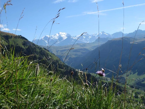 Tour du Beaufortain en liberté - Photo 12