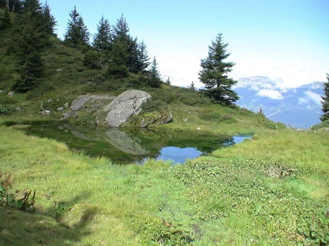 Rando détente dans les Alpes Dauphinoises - Photo 4