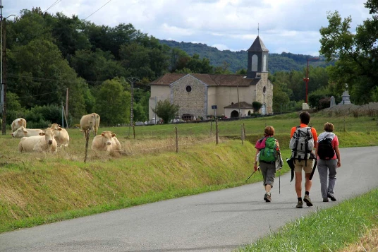 Compostelle à pied et en bus : Le Puy - Cahors - Photo 7