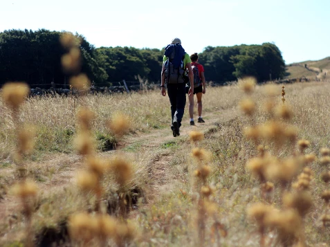 Compostelle à pied et en bus : Le Puy - Cahors - Photo 8