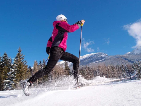 Vercors : Initiation au ski de randonnée nordique - Photo 1
