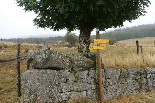 Compostelle à vélo : Le Puy - Cahors - Photo 5