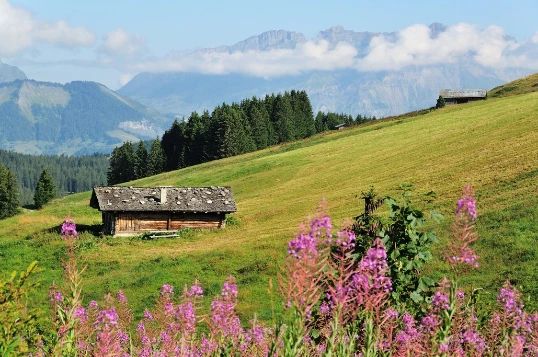 Lacs et Cascades de Haute Savoie - Photo 2