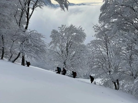 Chartreuse : vallons et Alpages - Photo 1