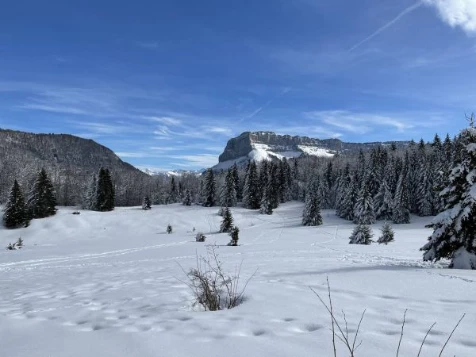 Chartreuse : vallons et Alpages - Photo 7