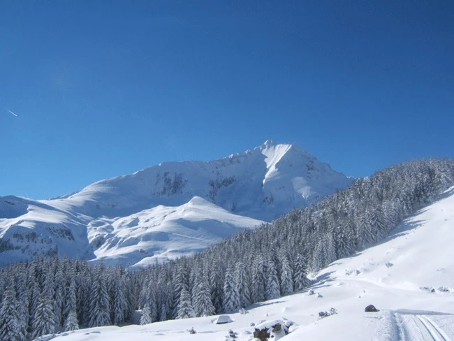WE Réveillon de charme dans le Val d'Azun - Photo 4