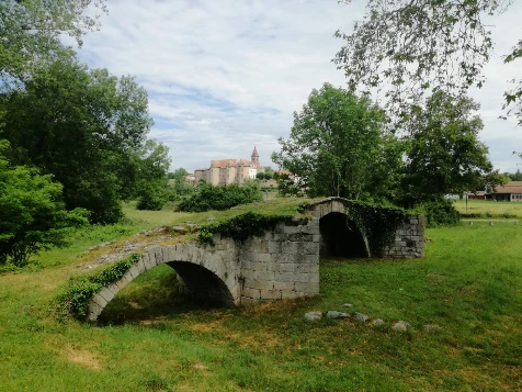 Chemins de Compostelle : Cluny - Le Puy en Velay - Photo 7