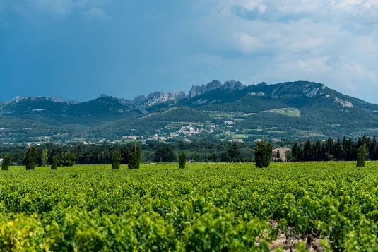 Tour du Mont Ventoux et les Baronnies Provençales - Photo 3
