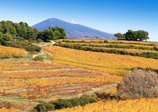 Tour du Mont Ventoux et les Baronnies Provençales - Photo 4