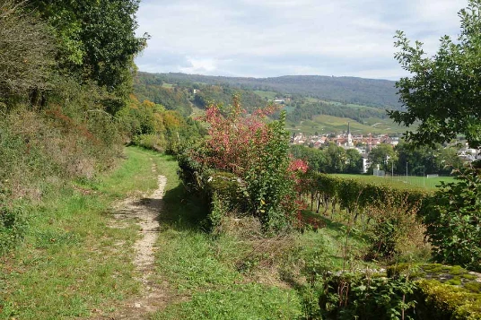 Sur les Pas des Huguenots : Yverdon - Soleure (Suisse) - Photo 4