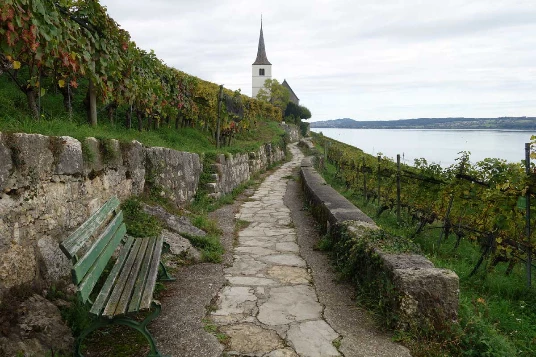 Sur les Pas des Huguenots : Yverdon - Soleure (Suisse) - Photo 9