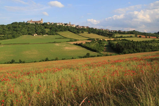 Chemins de Compostelle : Vézelay - Autun - Photo 12