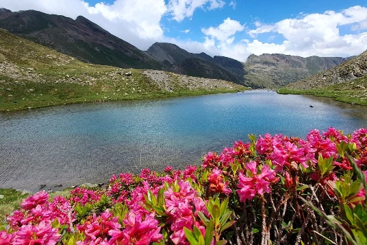 Les Hauts Sommets d'Andorre - Photo 7