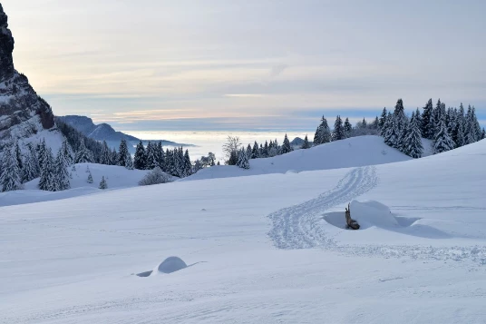Escapade Hivernale en Chartreuse - Photo 6