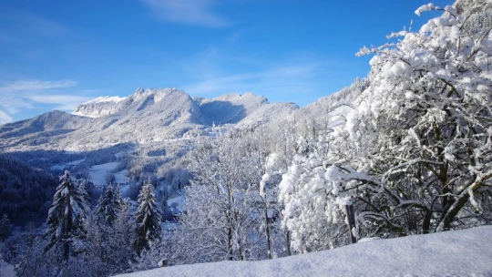 WE Réveillon Chartreuse - Photo 6