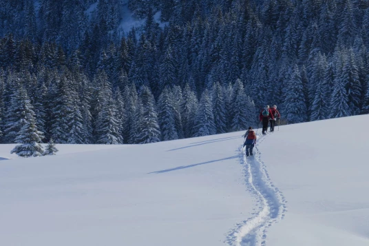Au Coeur des Aravis - Photo 4