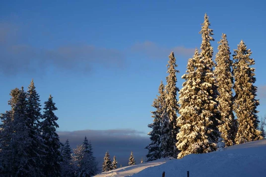WE Réveillon sur les Crêtes du Jura - Photo 2