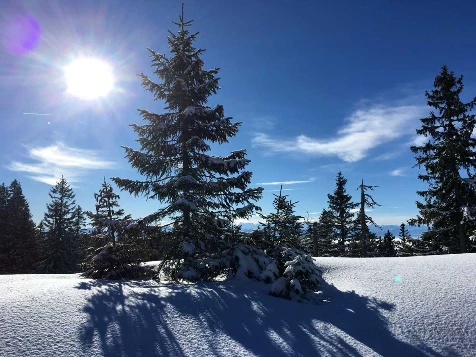 Week-end Trappeur Jura - Photo 4
