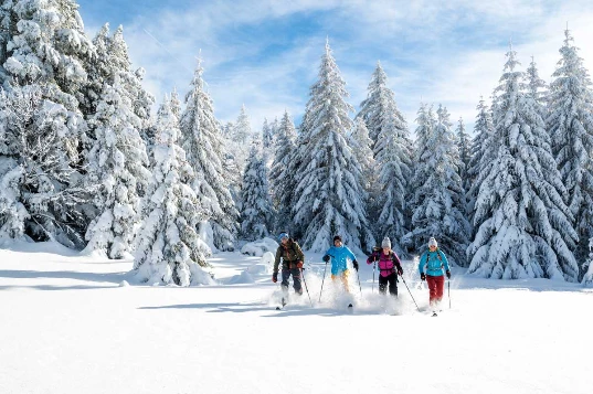 Aventure nordique en Vercors (sportif) - Photo 8